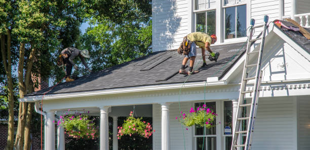 Best Gutter Installation and Repair  in Cottonde, AL